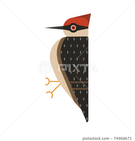 Red Head Woodpecker Bird Geometric Flat Icon Red Head Woodpecker Bird Geometric Flat Icon 74908671