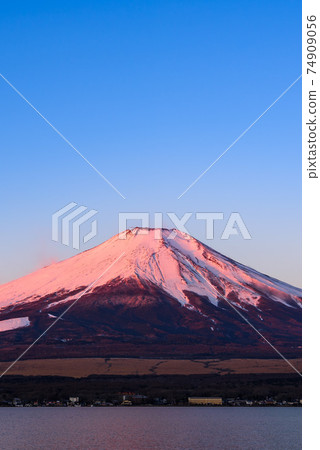 仲冬紅富士和晴朗的天空 仲冬紅富士和晴朗的天空 74909056