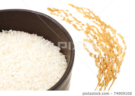 White rice and rice ears in a rice bowl White rice and rice ears in a rice bowl 74909108