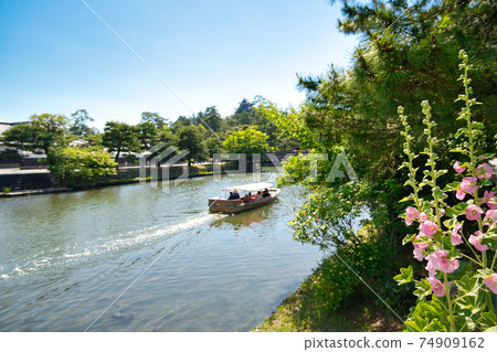 松江H川之旅：盛開的蜀葵景觀 74909162
