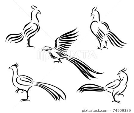 Chicken and pheasant line art vector picture It's a set of five pictures. 74909389