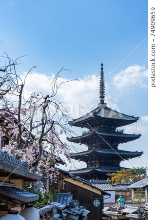 Kyoto Yasaka Tower, Kyoto Cityscapes and Cherry Blossoms Kyoto Yasaka Tower, Kyoto Cityscapes and Cherry Blossoms 74909659