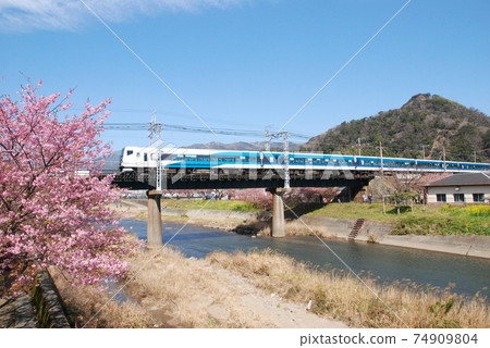 E257 series "Odoriko" crossing the Kawazu River 74909804