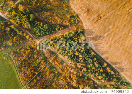 Aerial View Plantation With Young Green Forest Area Near Rural Field Landscape. Top View Of New Young Growing Forest. European Nature From High Attitude In Autumn Season Aerial View Plantation With Young Green Forest Area Near Rural Field Landscape. Top View Of New Young Growing Forest. European Nature From High Attitude In Autumn Season 74909843