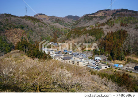 梅林橋(德島縣吉野川市) 梅林橋(德島縣吉野川市) 74909969