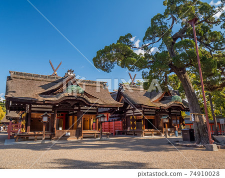 大阪住吉大社 74910028