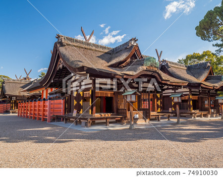 大阪住吉大社 74910030