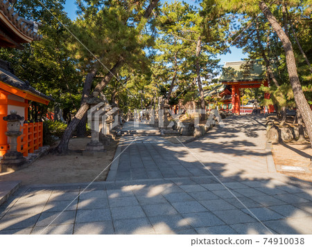 大阪住吉大社 74910038