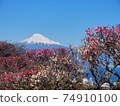 神聖的富士山和川津櫻花 74910100
