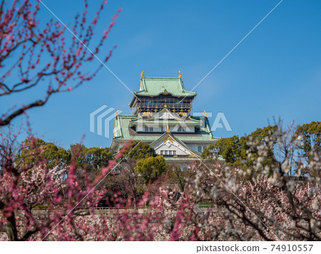 大阪城梅林公園 照片素材 圖片 圖庫