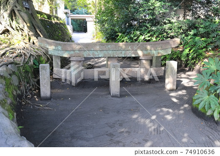 [Kagoshima Prefecture] Sakurajima's Kurokami Buried Torii 74910636