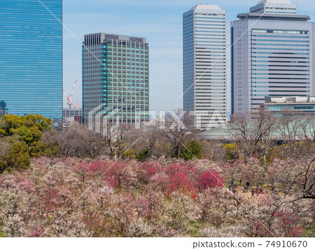 大阪城梅林公園 74910670