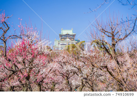 大阪城梅林公園 照片素材 圖片 圖庫