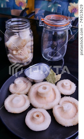 Prepare for salted mushrooms on dark background 74913629