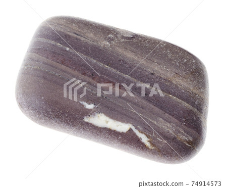 tumbled argillite (mudstone) stone on white 74914573