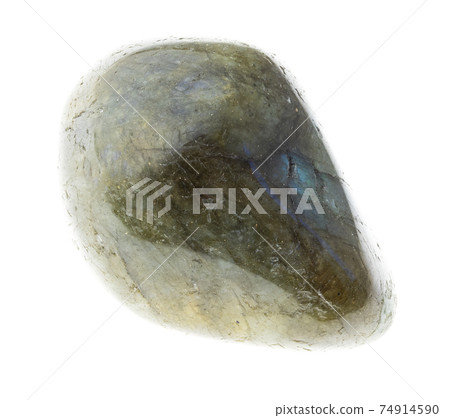 tumbled labradorite (labrador) gemstone on white tumbled labradorite (labrador) gemstone on white 74914590