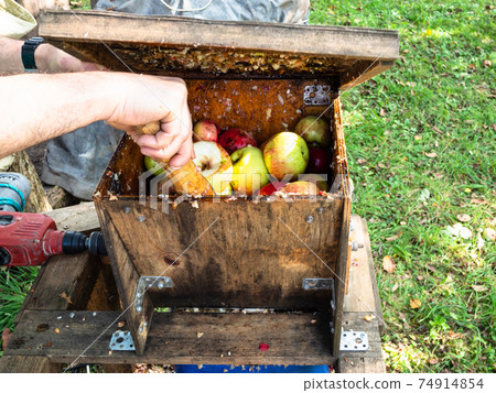 crushing fresh apples in the wooden grinding box crushing fresh apples in the wooden grinding box 74914854