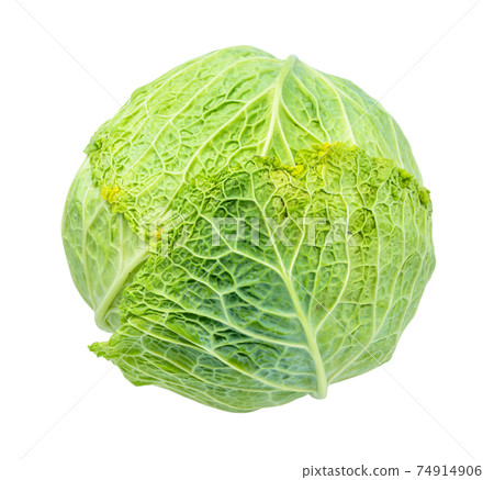 green savoy cabbage cut out on white green savoy cabbage cut out on white 74914906