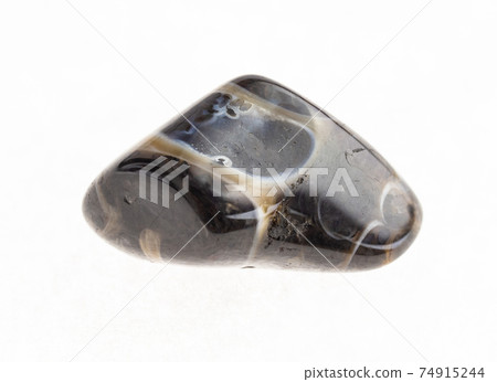 tumbled turritella agate fossil gemstone on white tumbled turritella agate fossil gemstone on white 74915244