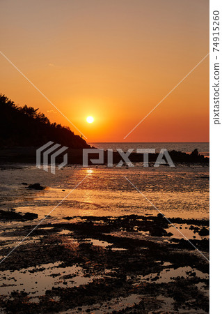 Hanagae Beach, West Coast 74915260