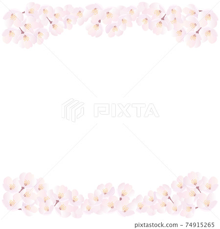 櫻花上下背景圖-白色正方形 櫻花上下背景圖-白色正方形 74915265