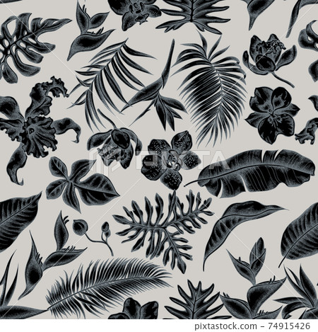 Seamless pattern with hand drawn stylized monstera, banana palm leaves, strelitzia, heliconia 74915426
