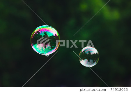 soap bubbles on green nature background 74918023