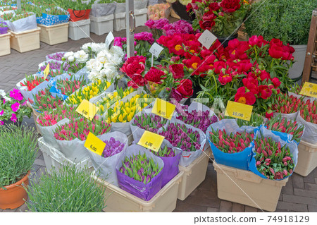 Florist Amsterdam 74918129
