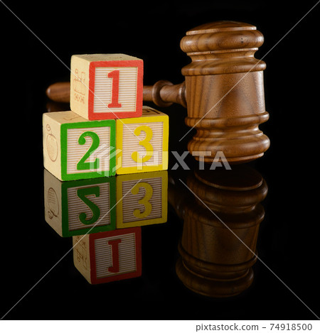 Legal Fundamental Basics 74918500