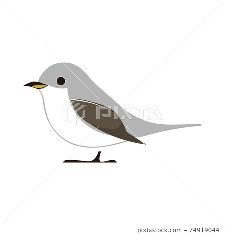 Vector illustration of brown flycatcher 74919044