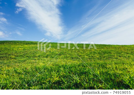 green grass and blue sky nature background 74919055