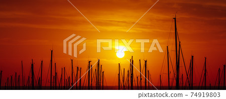 silhouettes of yacht masts, red sunrise in a port silhouettes of yacht masts, red sunrise in a port 74919803