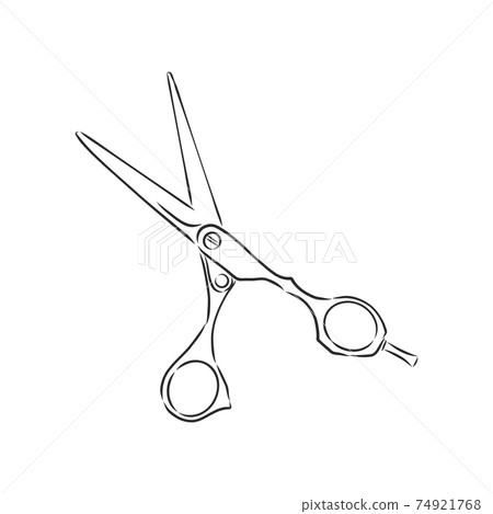 scissors vector sketch illustration. Doodle style scissors illustration 74921768