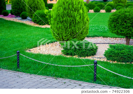 landscape bed with evergreen thuja bushes in backyard with natural rock mulch and green lawn in the garden, with a chain in the form of a gardening fence near stone tile way, nobody. 74922306