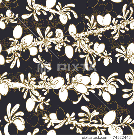 Argan seamless pattern. Vector line graphic garden Argan seamless pattern. Vector line graphic garden 74922443