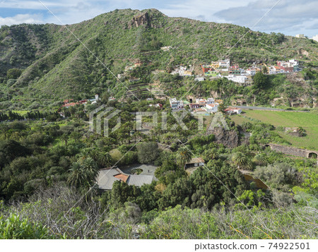 View over green hill and valley of botanical garden, Jardin Botanico Canario Viera y Clavijo, Tafira, Gran Canaria, Canary Islands, Spain View over green hill and valley of botanical garden, Jardin Botanico Canario Viera y Clavijo, Tafira, Gran Canaria, Canary Islands, Spain 74922501