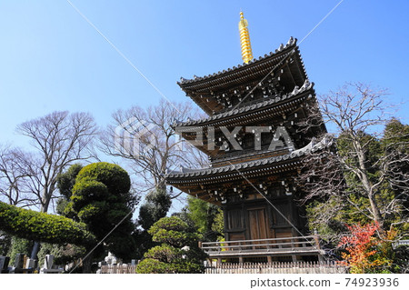 2月，世田谷區734三重堂（三層塔），京元寺 74923936