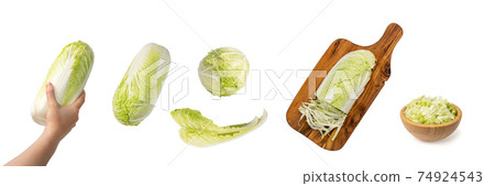 Whole Chinese Cabbage, Napa Cabbage or Wombok 74924543