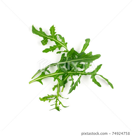 Arugula, Arugula, Ruccola Leaves, Rucola, Eruca or Roquette Salad Arugula, Arugula, Ruccola Leaves, Rucola, Eruca or Roquette Salad 74924758
