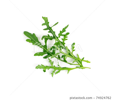 Arugula, Arugula, Ruccola Leaves, Rucola, Eruca or Roquette Salad 74924762