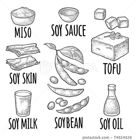 Soy food set. Miso, tofu skin, soybean, sauce Soy food set. Miso, tofu skin, soybean, sauce 74924826