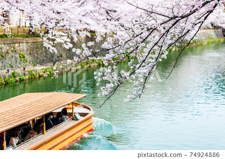 Okazaki Canal houseboat and cherry blossoms in full bloom Okazaki Canal houseboat and cherry blossoms in full bloom 74924886