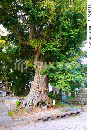 Iya Shrine, Shinboku, Matsue City Iya Shrine, Shinboku, Matsue City 74926618