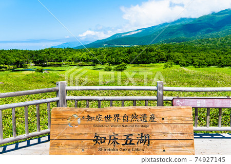 北海道知床半島夏季知床五個湖（一個湖） 74927145