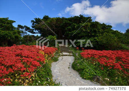 From Santen Goza 74927378