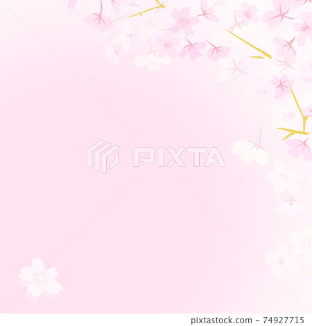 Cherry pink illustration square background (vector material) 74927715