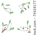 Long-tailed tit 4 poses 74928177
