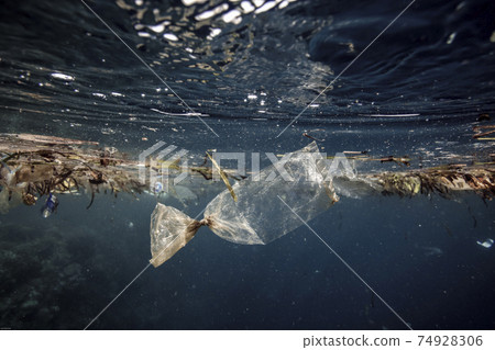 Plastic bag drifting over coral reef underwater Plastic bag drifting over coral reef underwater 74928306