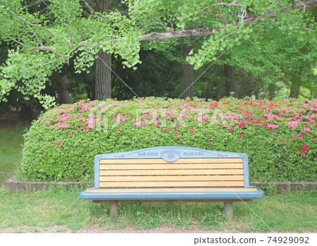 明亮的小月，新鮮的綠色植物和初夏的公園長凳 74929092