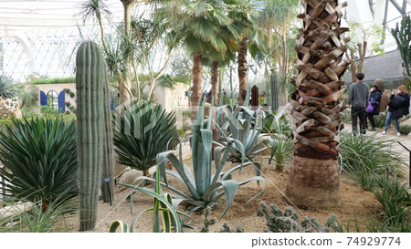 首爾植物園 74929774